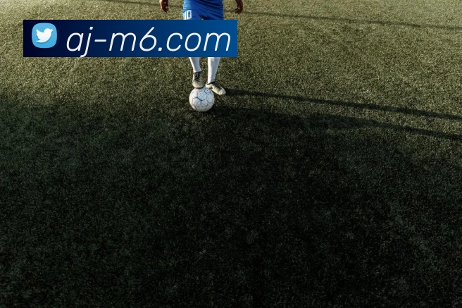 M6体育注册APP 封面图